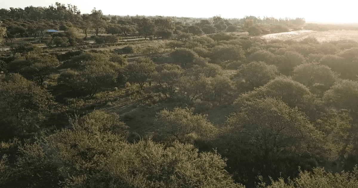 Reserva Natural Urbana "Parque de Flora Autóctona" - imagen 4