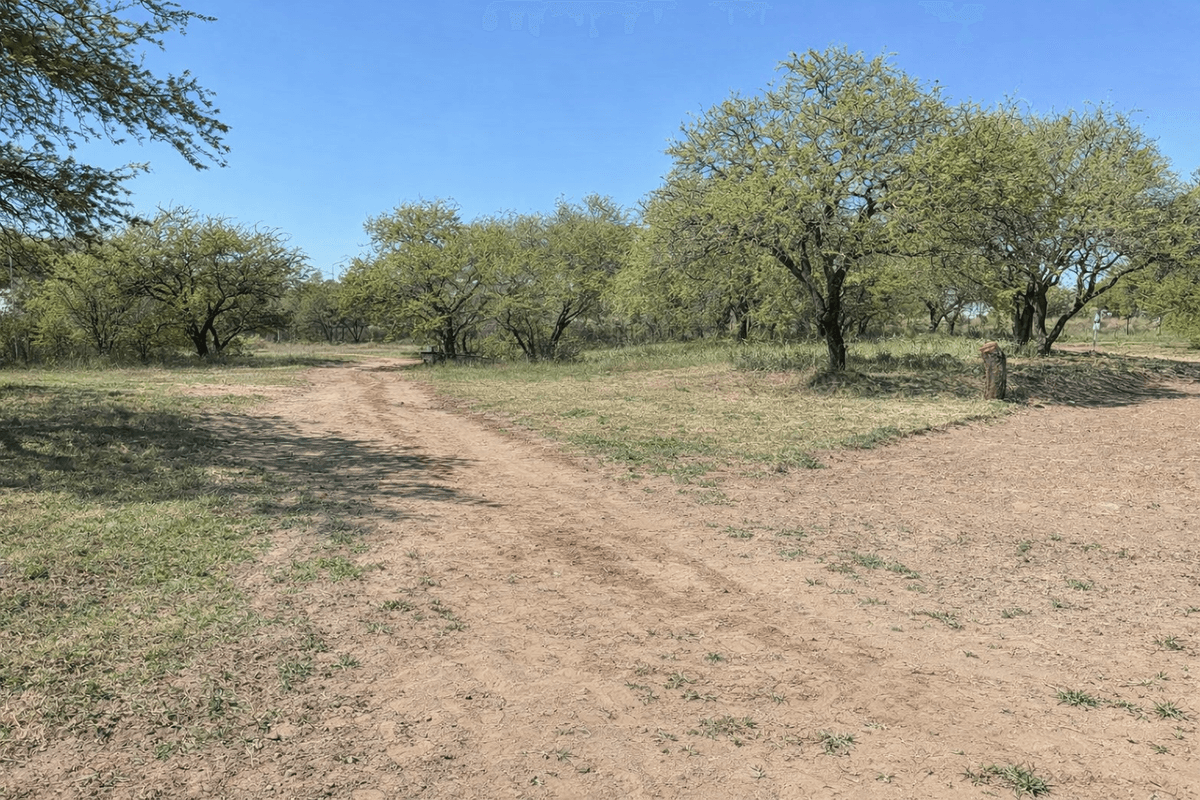 Reserva Natural Urbana "Parque de Flora Autóctona" - imagen 5