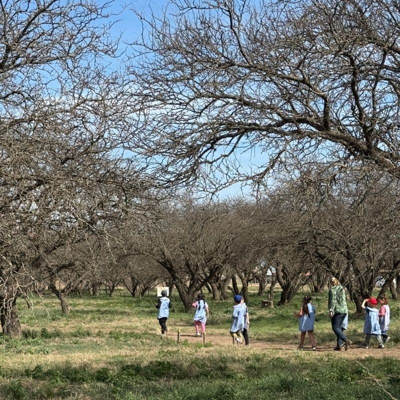 Reserva Natural Urbana "Parque de Flora Autóctona" - imagen 1