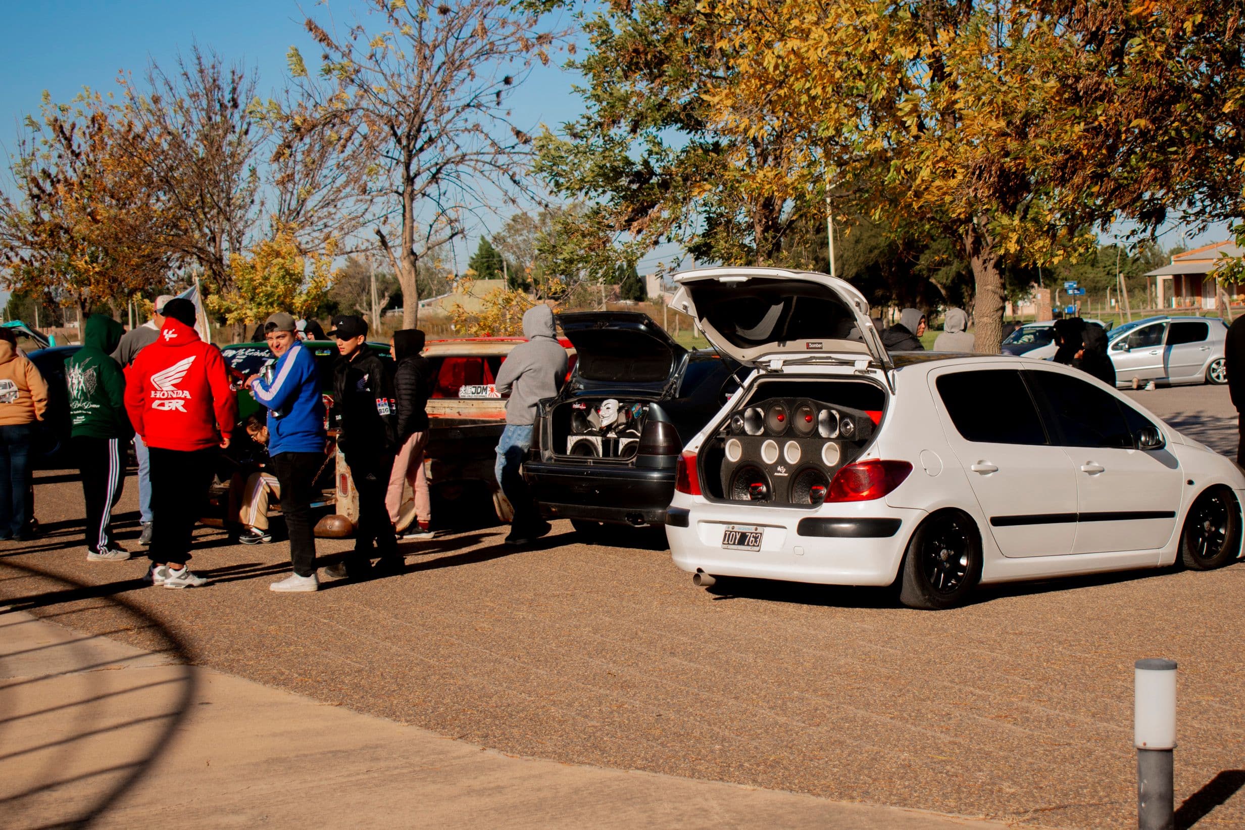 Imagen de la galería 22