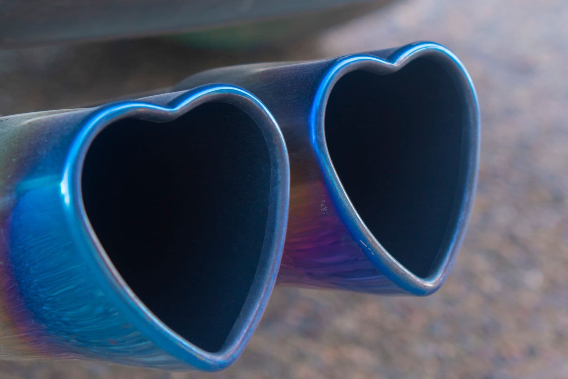 Imagen de la galería 1