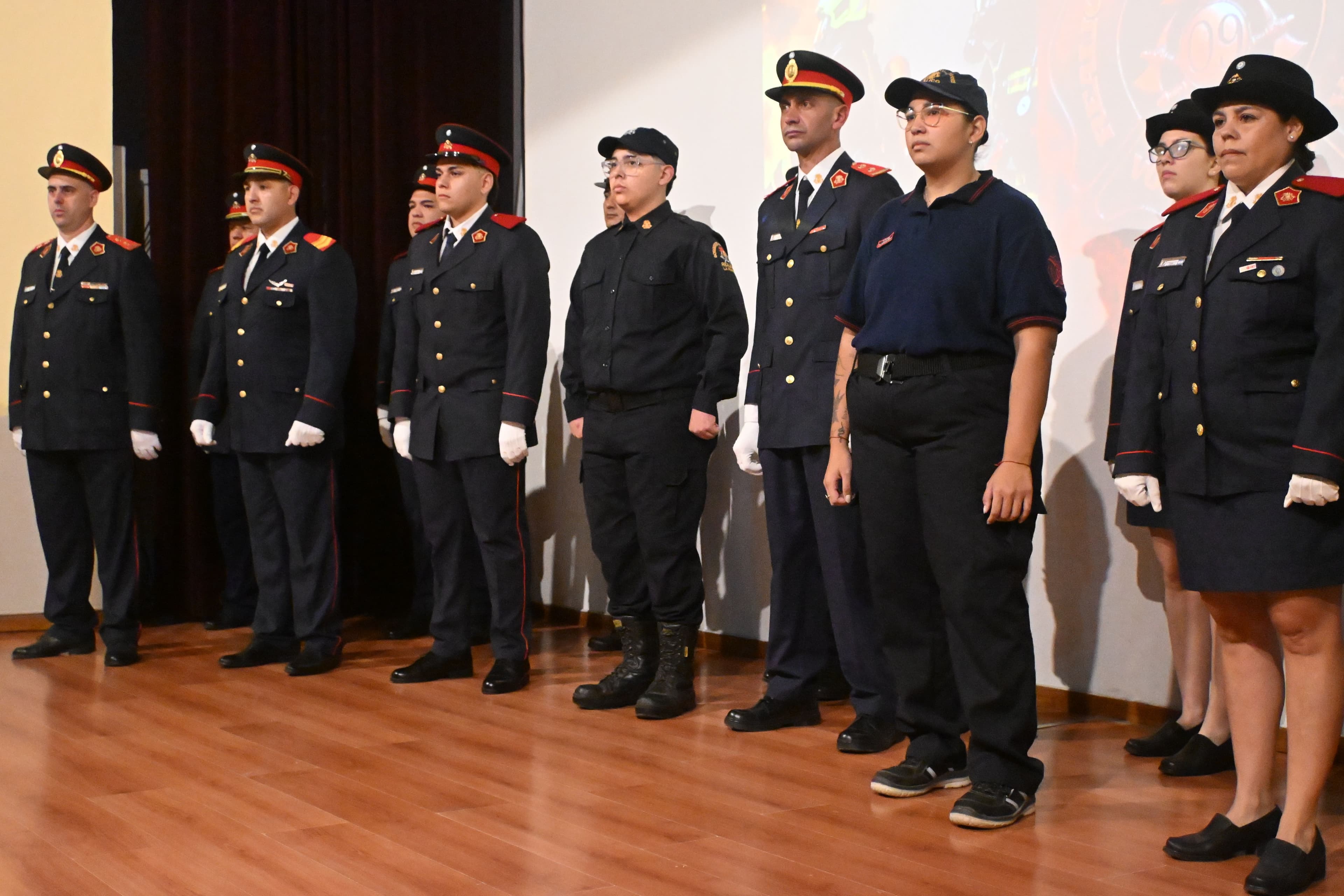 Imagen de la galería 14