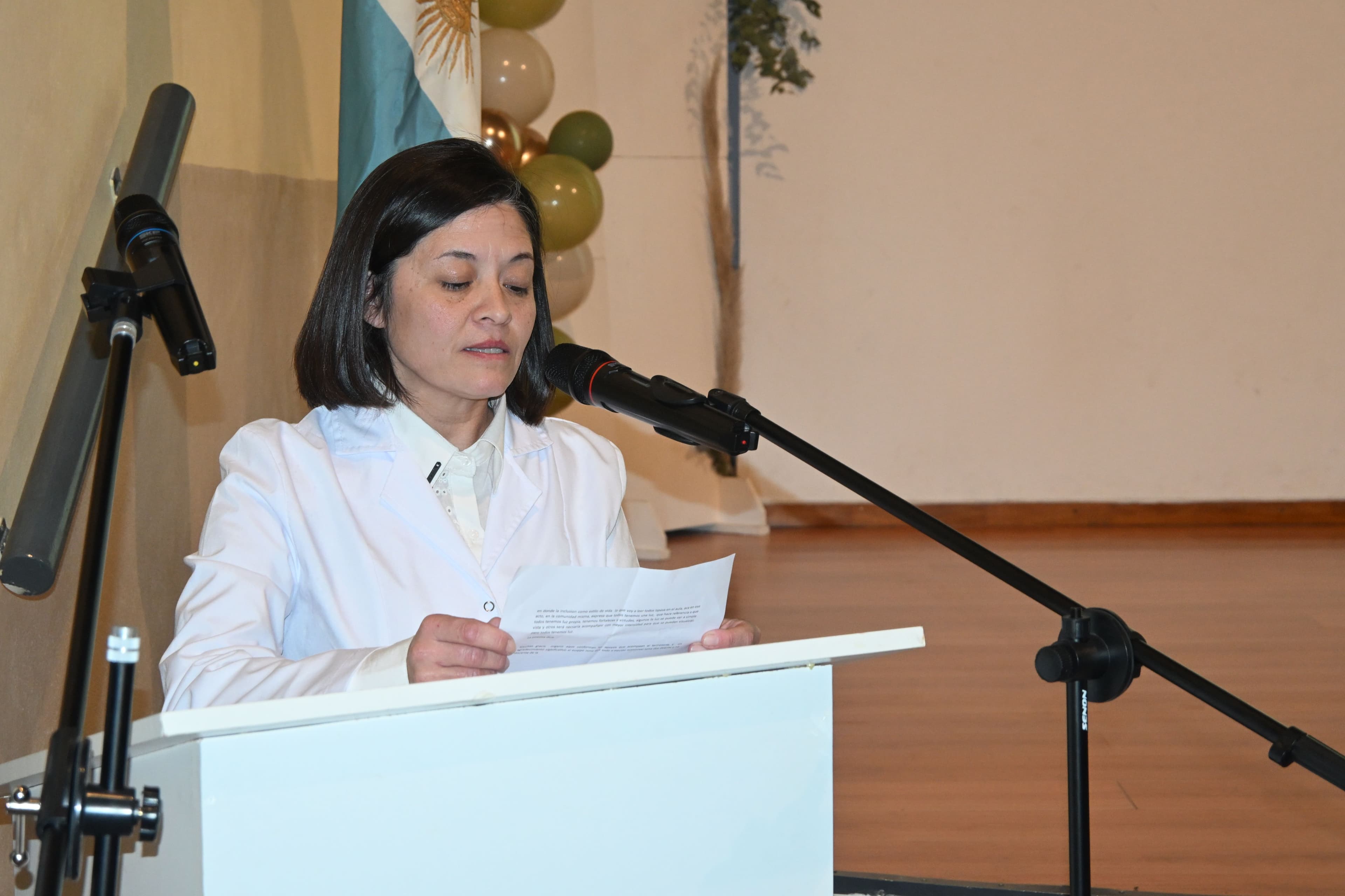 Imagen de la galería 4