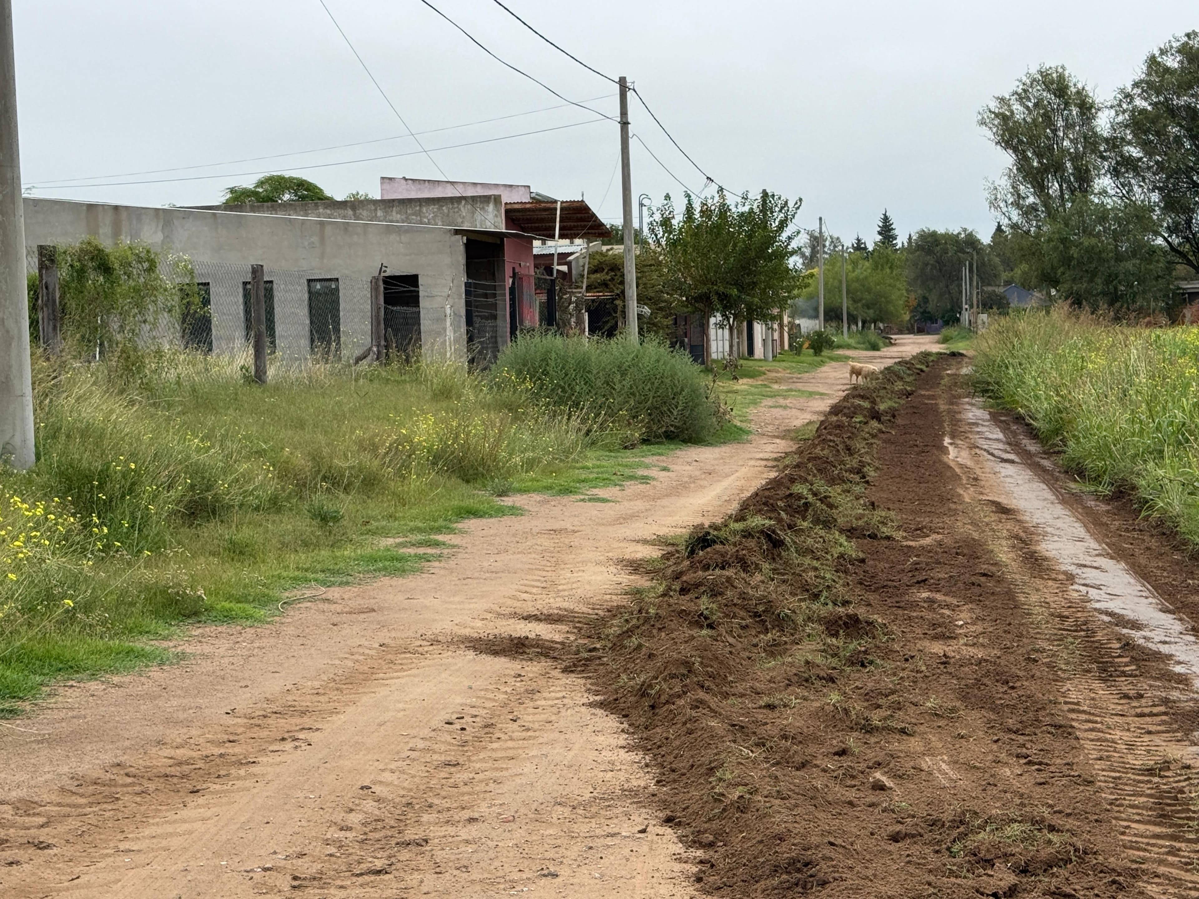 WhatsApp Image 2026-03-06 at 17.19.42.jpeg