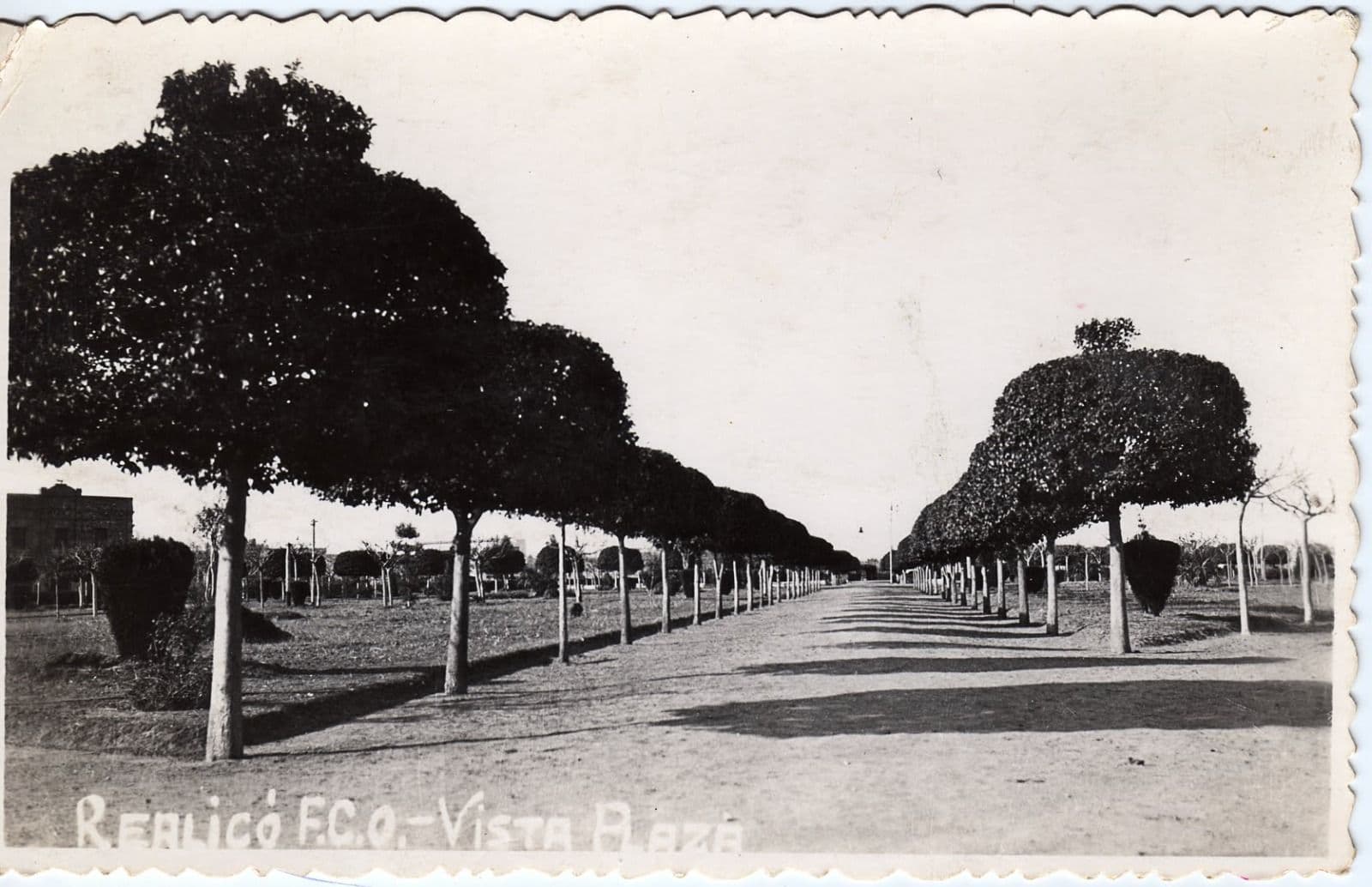 Imagen de la galería 7