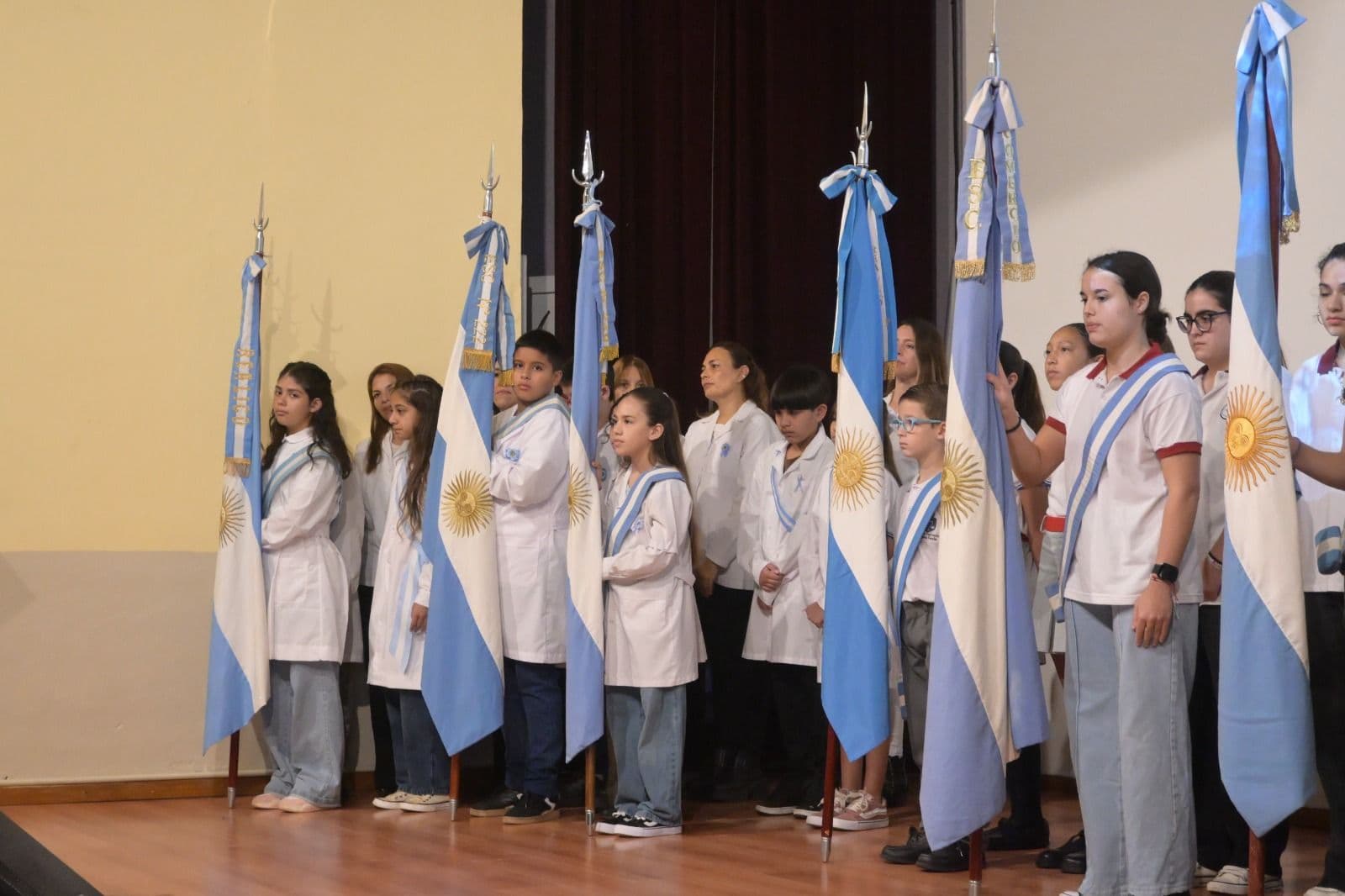 Imagen de la galería 6