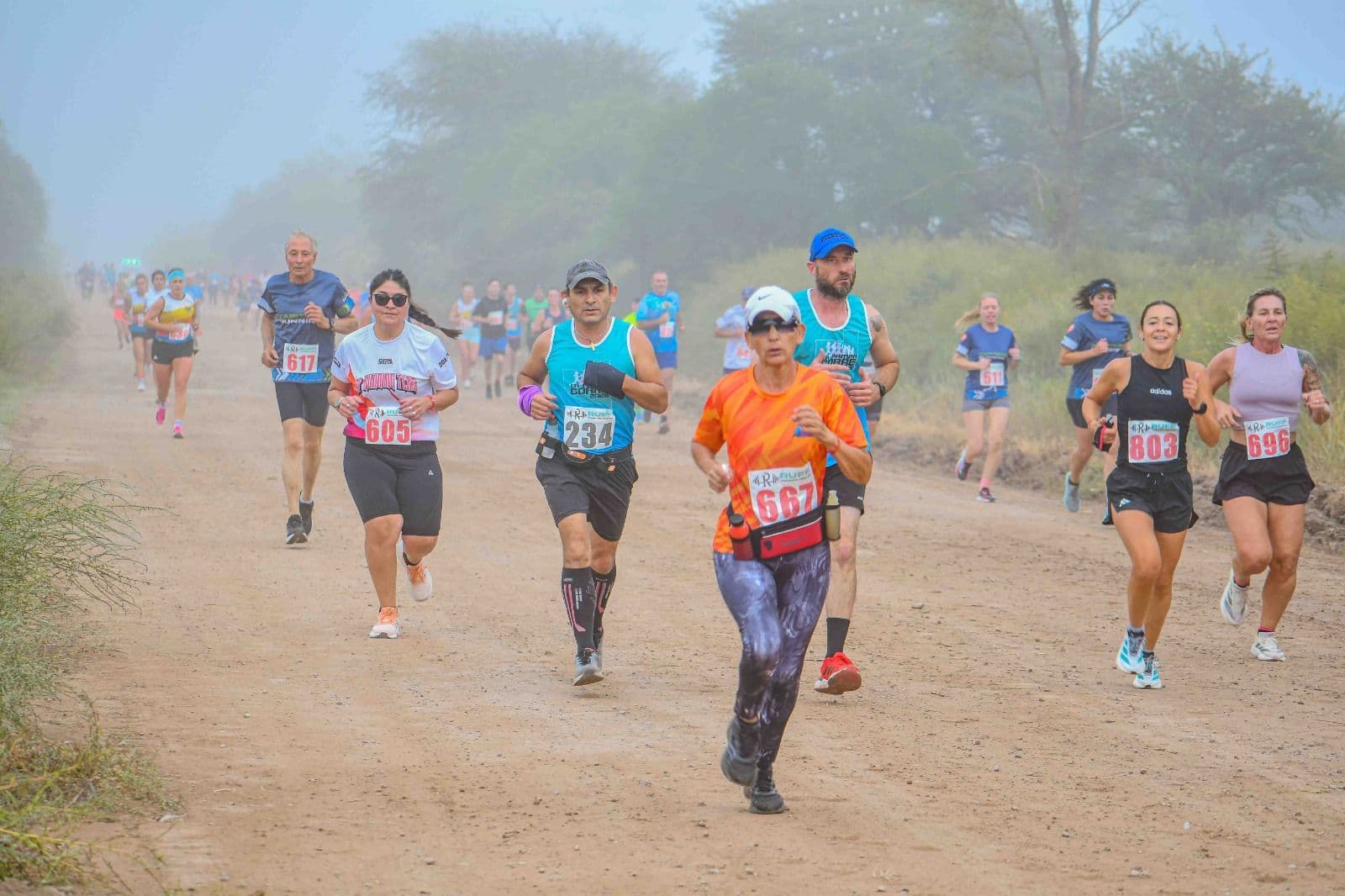 Imagen de la galería 4