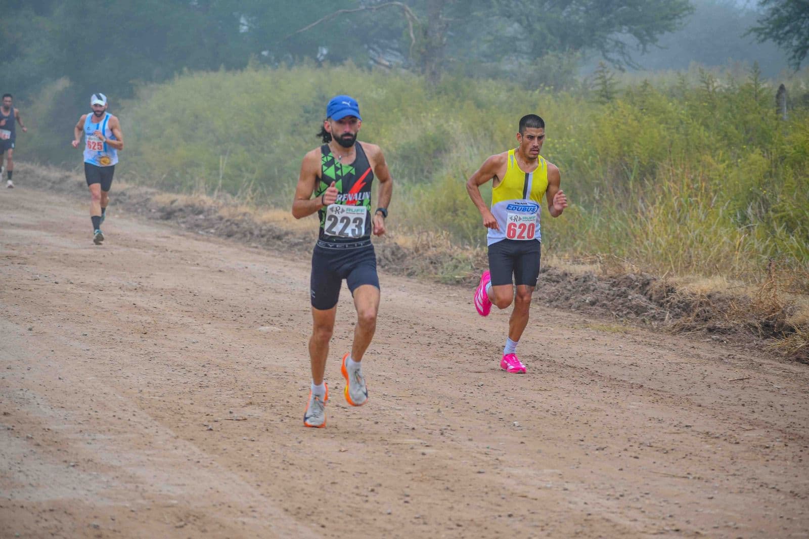 Imagen de la galería 8