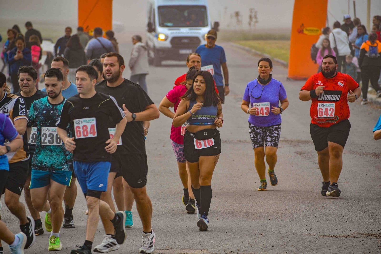 Imagen de la galería 5