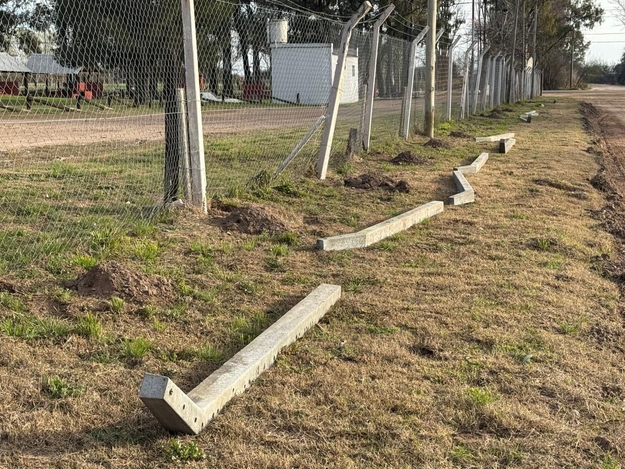 Imagen de la galería 10