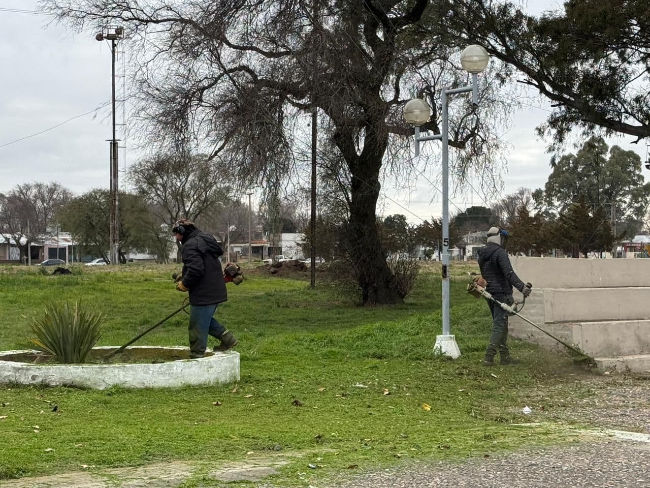 Imagen de la galería 5