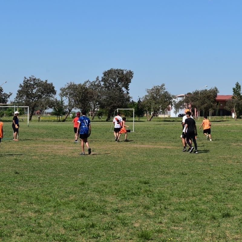 Espacios Verdes y Plazas - imagen 4