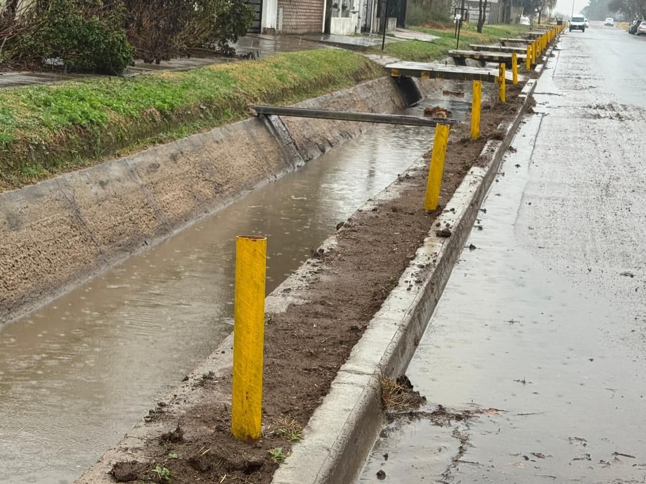 Imagen de la galería 5