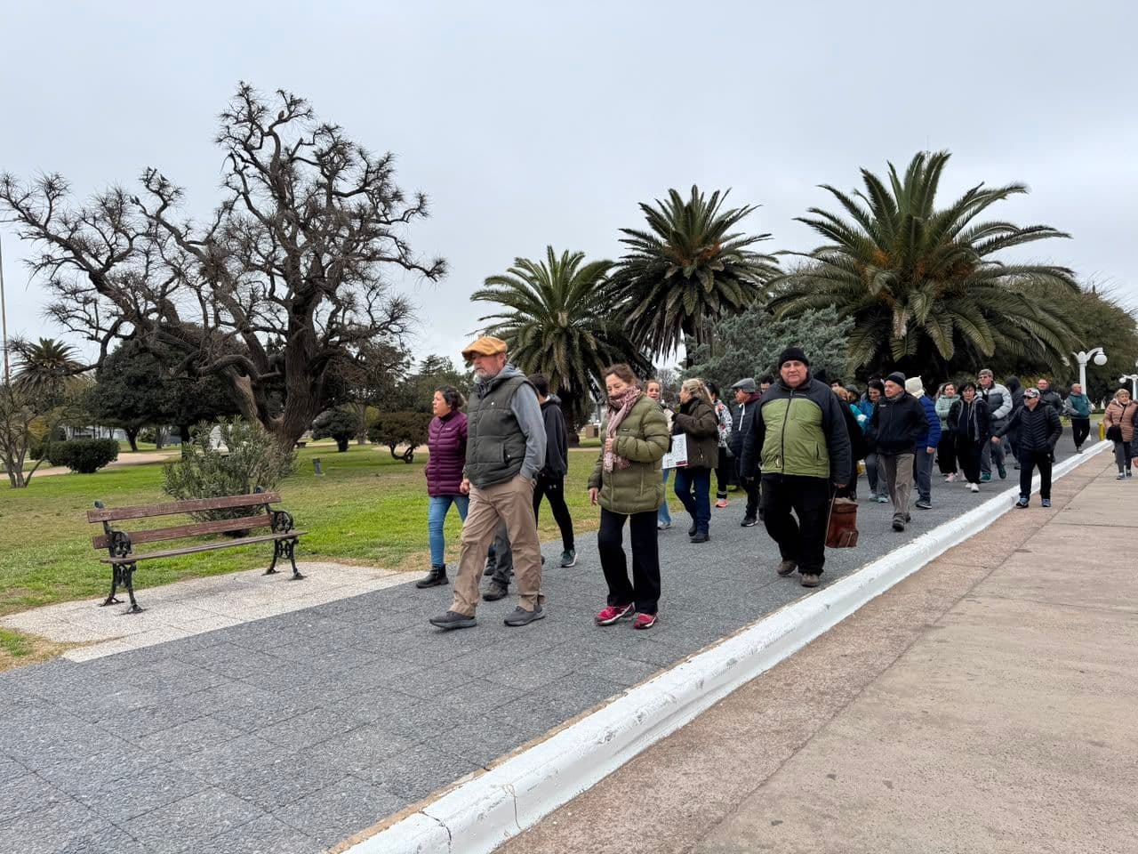 Imagen de la galería 24