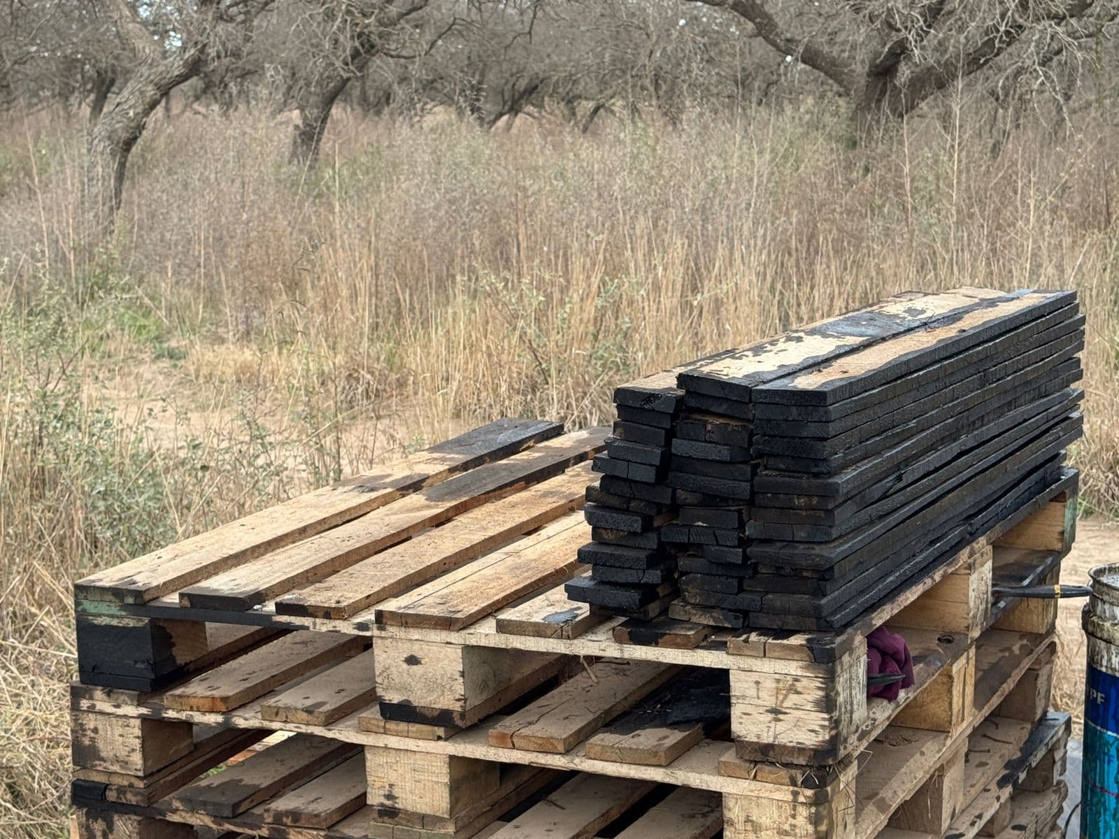 Imagen de la galería 1